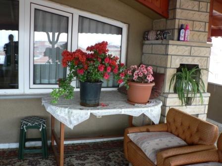 Name:  P1220282.JPG
Views: 2012
Size:  34.4 KB