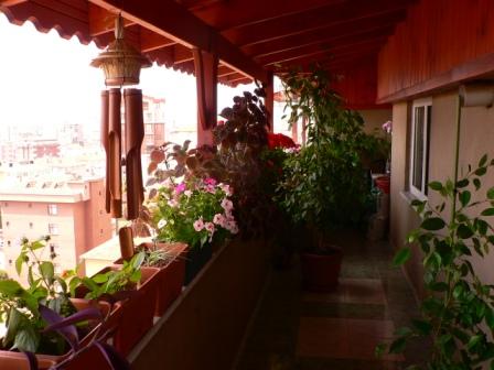 Name:  P1230497.JPG
Views: 2305
Size:  32.0 KB