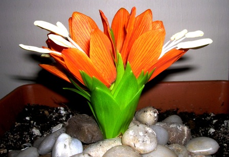 Name:  dl2.JPG
Views: 1553
Size:  60.9 KB