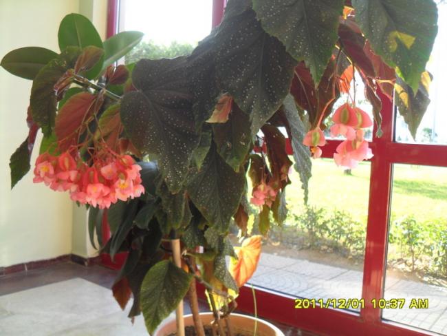 Name:  052.jpg
Views: 1760
Size:  49.3 KB