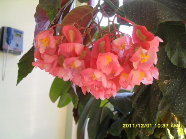 Name:  051.jpg
Views: 1729
Size:  40.6 KB