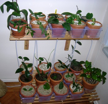 Name:  DSCN1365.JPG
Views: 1116
Size:  57.3 KB