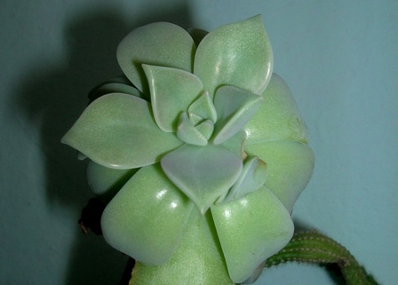 Name:  DSCN1556.JPG
Views: 1478
Size:  41.0 KB