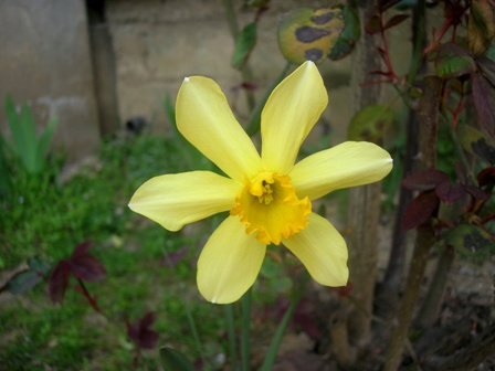 Name:  DSCN1562.JPG
Views: 1840
Size:  56.9 KB