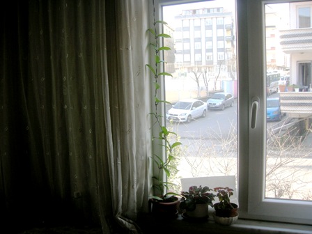 Name:  DSCN1557.JPG
Views: 1470
Size:  52.6 KB