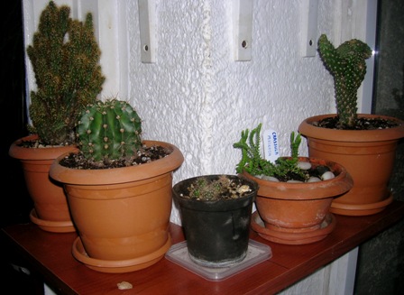 Name:  DSCN1586.JPG
Views: 1727
Size:  61.2 KB