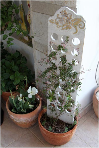 Name:  teras24.jpg
Views: 1617
Size:  48.1 KB