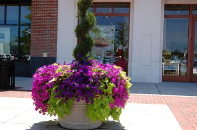 Name:  dsc_0025.jpg
Views: 4951
Size:  18.6 KB