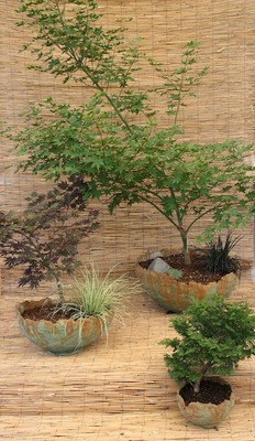 Name:  IMG_7434.jpg
Views: 2186
Size:  65.9 KB