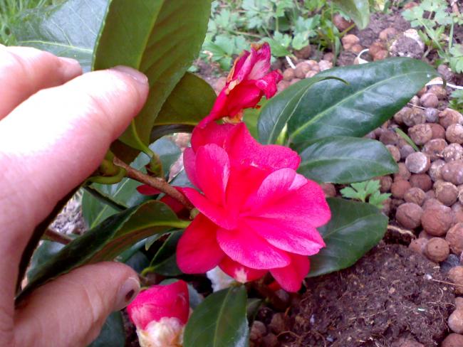 Name:  14042012098.jpg
Views: 1220
Size:  55.5 KB
