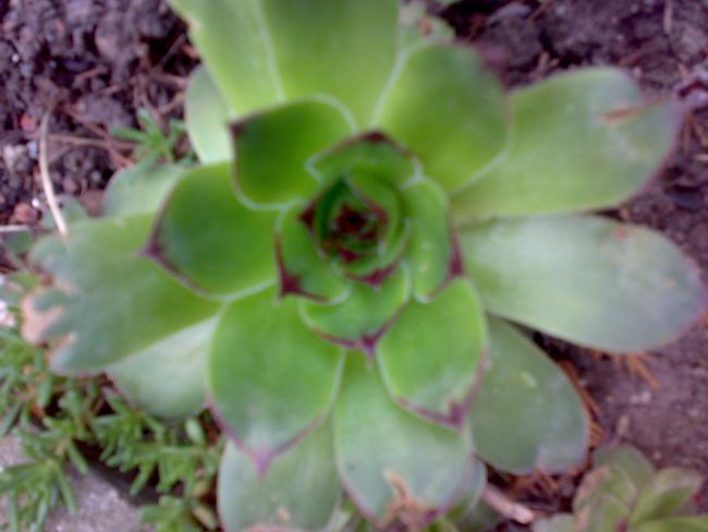 Name:  23042012143.jpg
Views: 1148
Size:  32.1 KB