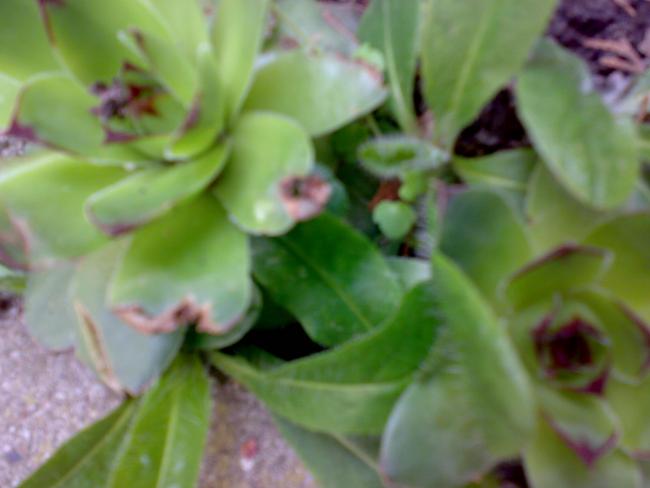 Name:  23042012147.jpg
Views: 1138
Size:  29.5 KB