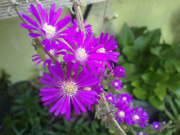 Name:  25042012783.jpg
Views: 3030
Size:  38.6 KB