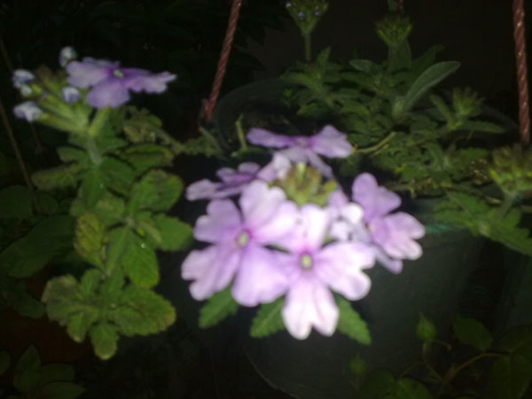 Name:  25042012785.jpg
Views: 2526
Size:  53.7 KB