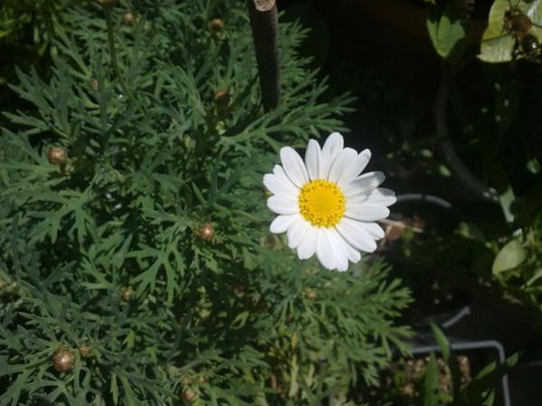 Name:  28042012791.jpg
Views: 2017
Size:  41.8 KB