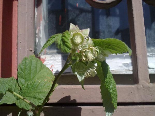 Name:  26042012786.jpg
Views: 2284
Size:  35.4 KB