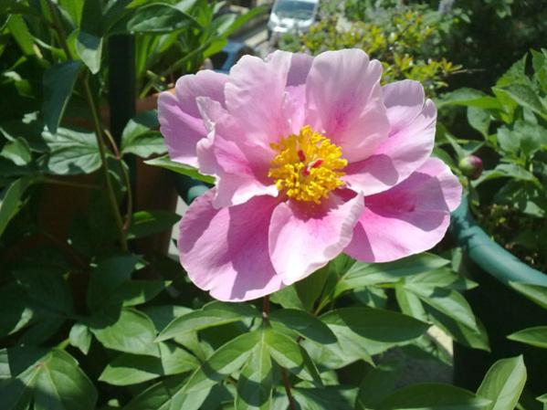 Name:  akayk(05.05.12).jpg
Views: 2762
Size:  43.9 KB
