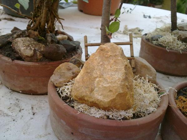 Name:  05052012822.jpg
Views: 1915
Size:  42.9 KB