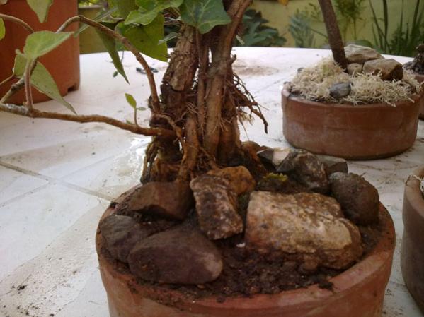 Name:  05052012823.jpg
Views: 1912
Size:  42.3 KB