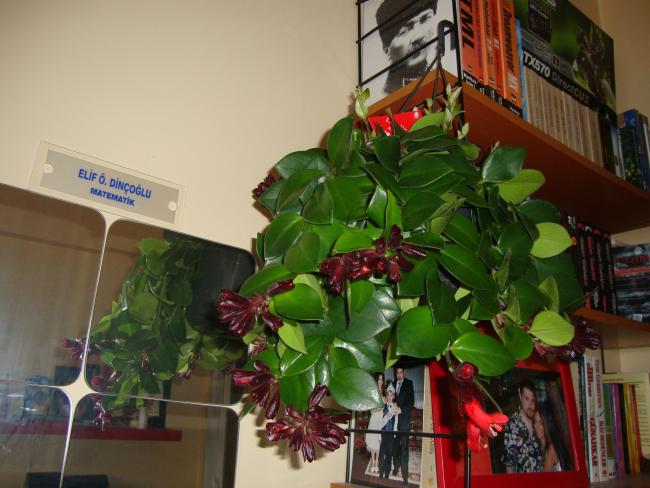 Name:  09.05.2012 077.jpg
Views: 6284
Size:  47.8 KB