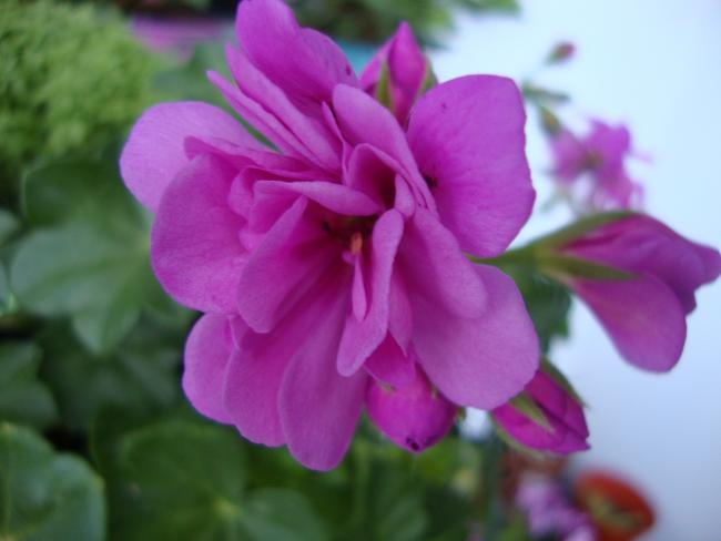 Name:  09.05.2012 116.jpg
Views: 4414
Size:  28.5 KB