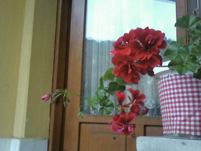 Name:  Fotoraf-0007.jpg
Views: 744
Size:  37.9 KB