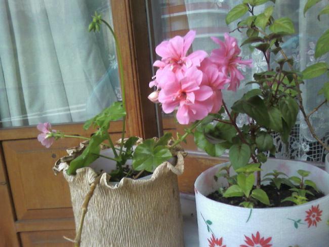Name:  Fotoraf-0008.jpg
Views: 765
Size:  47.3 KB