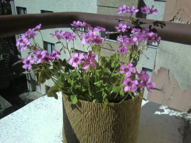 Name:  Fotoraf-0028s.jpg
Views: 766
Size:  54.7 KB