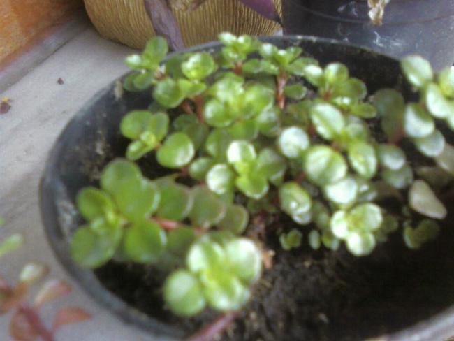 Name:  Fotoraf-0021s.jpg
Views: 743
Size:  36.2 KB