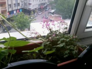Name:  2012-05-14 13.22.13.jpg
Views: 742
Size:  14.3 KB