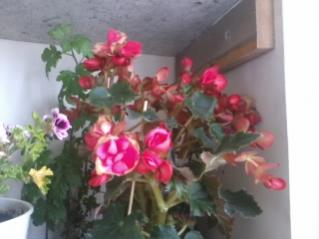 Name:  2012-05-14 13.21.12.jpg
Views: 685
Size:  12.1 KB