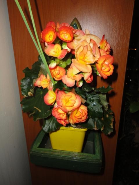 Name:  DSC01588.jpg
Views: 1161
Size:  37.1 KB