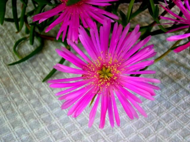 Name:  DSCN2063.jpg
Views: 940
Size:  52.8 KB