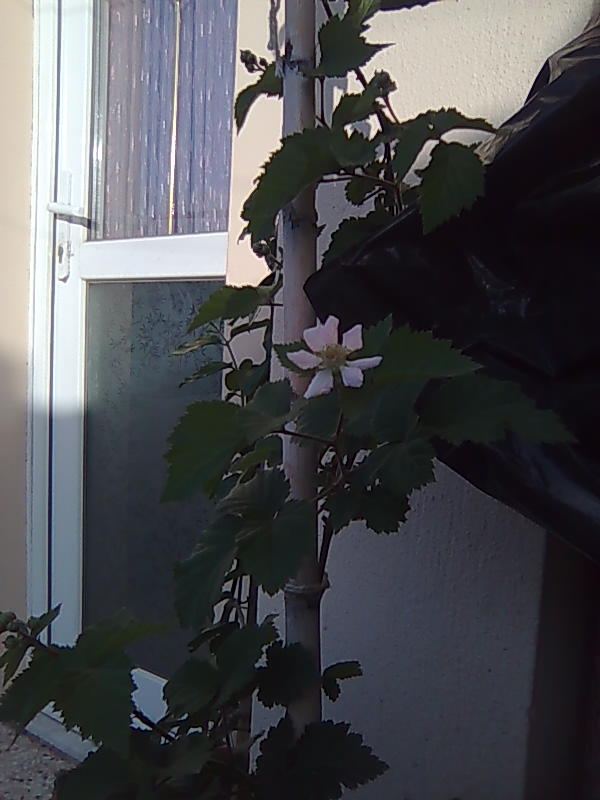 Name:  Grnt009.jpg
Views: 1334
Size:  59.4 KB