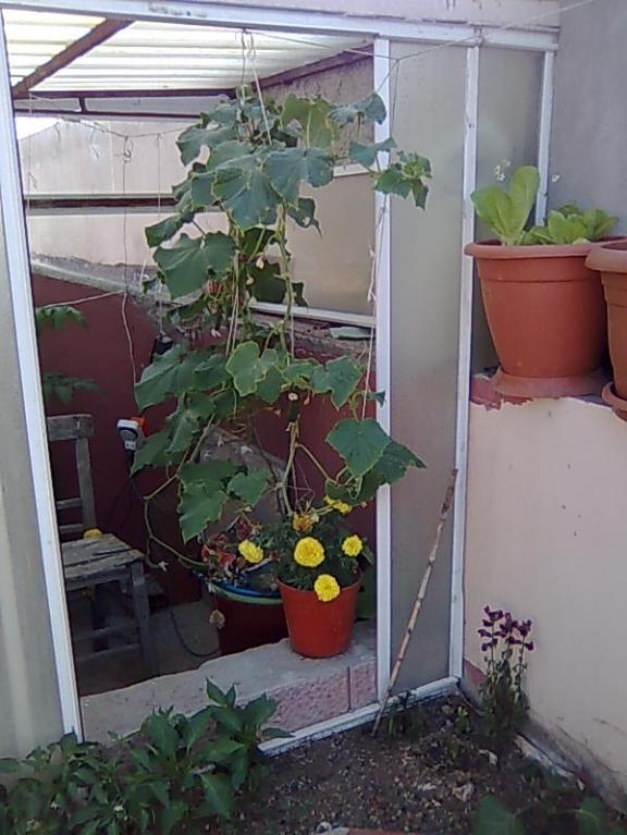 Name:  Grnt011.jpg
Views: 1267
Size:  65.6 KB