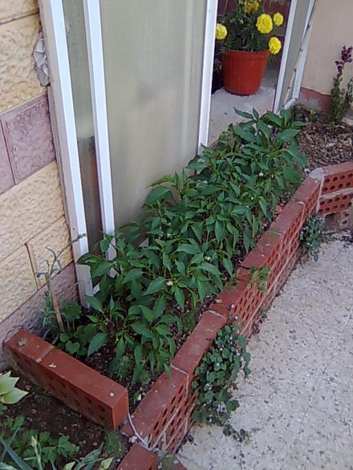 Name:  Grnt013.jpg
Views: 982
Size:  70.0 KB