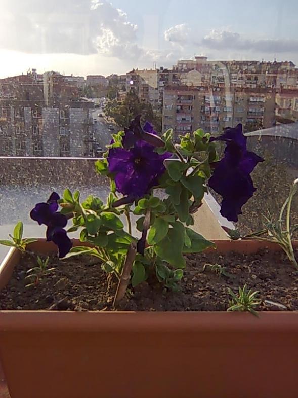 Name:  Grnt015.jpg
Views: 1020
Size:  65.6 KB