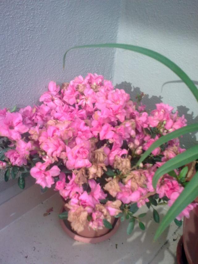 Name:  G0879.jpg
Views: 990
Size:  70.2 KB