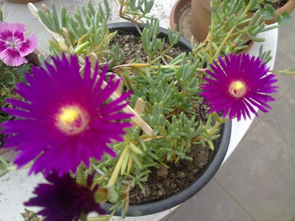 Name:  12052012852.jpg
Views: 2075
Size:  48.3 KB