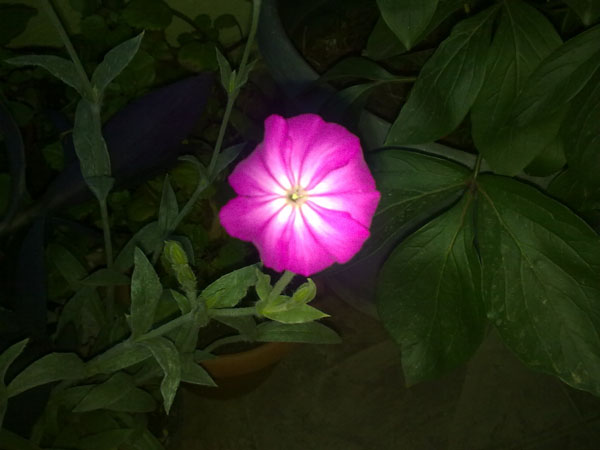Name:  14052012859.jpg
Views: 2079
Size:  54.6 KB