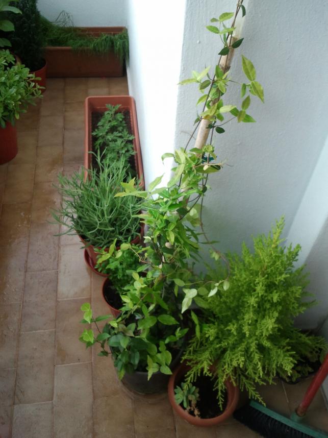 Name:  Fotoraf1130.jpg
Views: 3490
Size:  70.3 KB