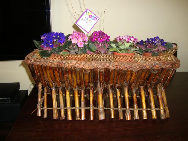 Name:  DSC02720.jpg
Views: 2808
Size:  53.0 KB