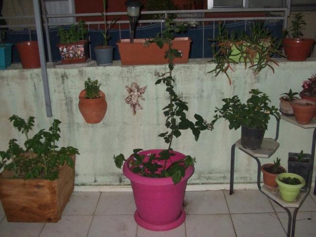 Name:  Brtlen.jpg
Views: 2198
Size:  45.9 KB