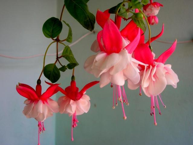 Name:  3DSCN2151.jpg
Views: 1030
Size:  29.3 KB