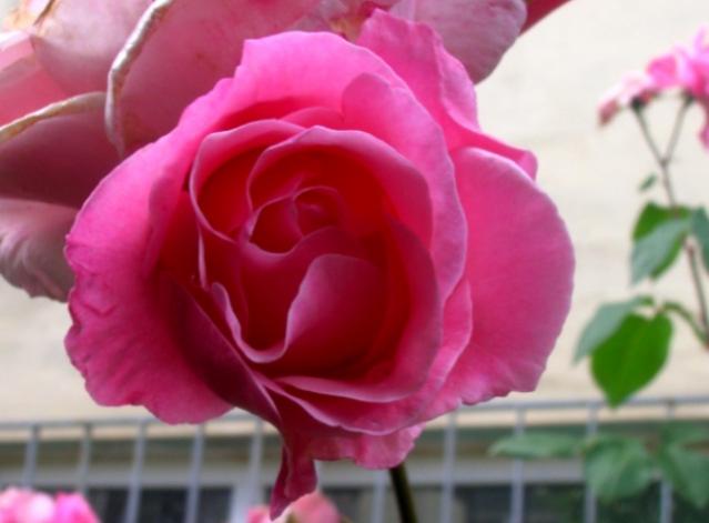 Name:  13DSCN2182.jpg
Views: 1014
Size:  29.5 KB