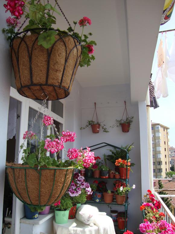 Name:  DSC02748.jpg
Views: 4124
Size:  72.5 KB