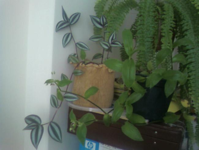 Name:  Fotoraf-0001.jpg
Views: 581
Size:  27.6 KB