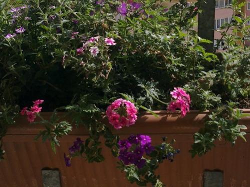 Name:  12052012402.jpg
Views: 1544
Size:  40.6 KB