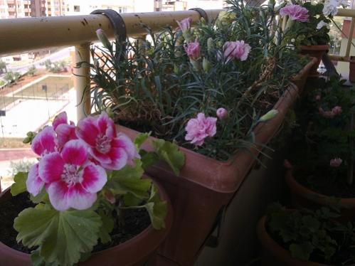 Name:  30052012497.jpg
Views: 1239
Size:  32.6 KB
