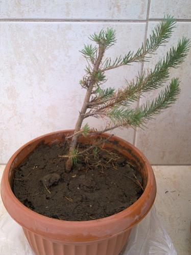 Name:  30052012500.jpg
Views: 1298
Size:  30.8 KB
